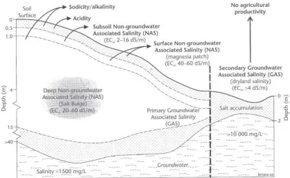Figure 2.7. Updated schematic cross-section (see Rengasamy 2002 Figure 2.4) showing various categories of saline land as defined by hydrology (NAS, transient salinity, surface water salinity) (from Fitzpatrick 2008)