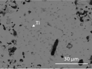 Figure 3: Representative backscattered electron micrographs of “well-sintered” regions of cold uniaxially pressed hollandites, Ba1.2-xCsxFe2.4-xTi5.6+xO16: a) x = 0.0, b) x = 0.1, c) x = 0.2, d) x = 0.3, e) x = 0.4, f) x = 0.5 and g) x = 0.6