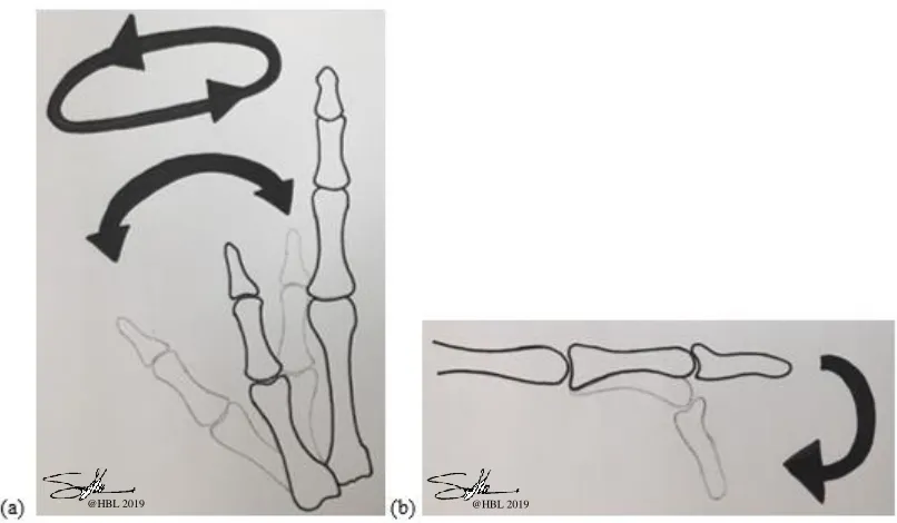 Figure 3: Long finger segments range of motion capabilities of (a) the MCP joint for radial and ulnar deviation, and (b) the DIP, PIP, and MCP joints for flexion/extension (lateral view)