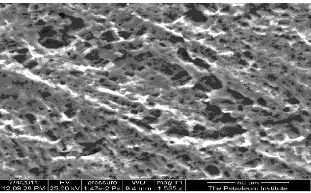 Figure 13.  ESEM image of the Egyptian sample after 14 days of exposure to 3.5% NaCl solution in drinking water (pH = 6.7) at room temperature