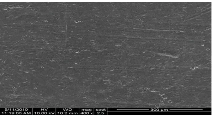 Figure 6.  ESEM image of Indian sample after two hours of exposure in solution #1 using tap water
