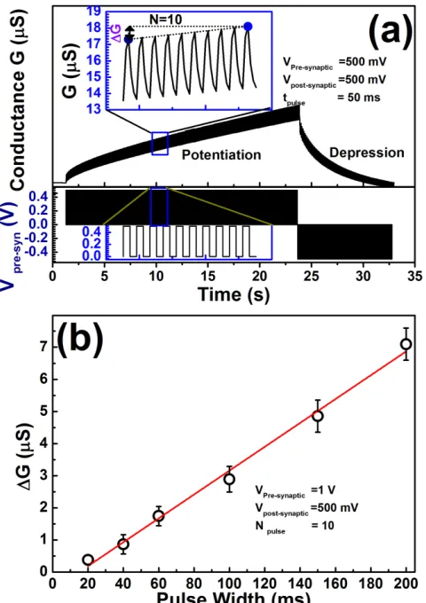 Figure 6.(a) synaptic potentiation and depression by the application of repetitive positive and 