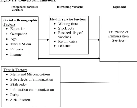 Figure 1.1: Conceptual Framework 