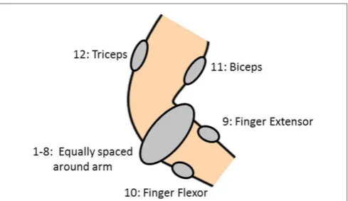 TABLE 2 | Description of the 9 force patterns.
