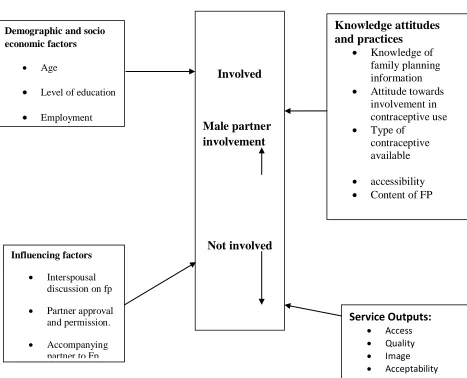 Figure 1.8: Conceptual Framework 