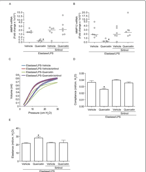 Figure 6 Inhibition of Sirt1 activity in quercetin-treated mice attenuates querecetin-induced changes in MMP expression and