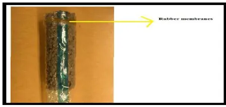 Figure. In this test every example is fixed with oil jam and put into latex film to avert spillage along their sides amid testing