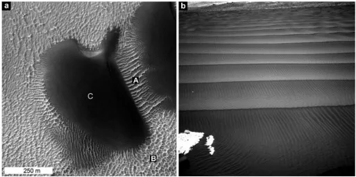Fig. 1. Examples of aeolian bedforms on Mars. North is up and illumination is either from the left or bottom left in this and all following orbital images