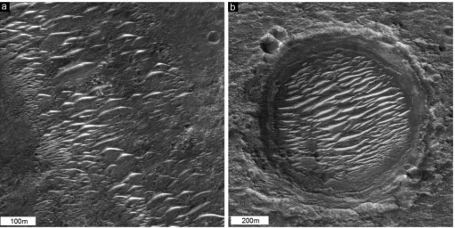 Fig. 3. TARs at the ExoMars candidate landing sites. a) Mawrth Vallis. Part of HiRISE image PSP_002074_2025 b) Oxia Planum