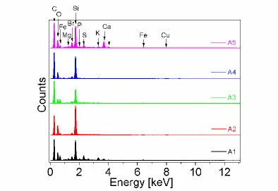 Figure  3. The EDX spectrum of pyrolysed algae of different composition 