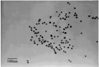 Figure 1. The TEM images of NG particles 