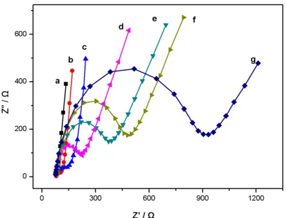 Figure 3. Electrochemical impedance spectroscopy of the different modified electrodes