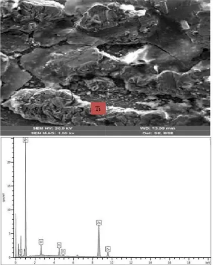 Figure 9.  SEM/EDS showing the surface morphology of Zn-13Ti-0.5Vchloride deposited sample  