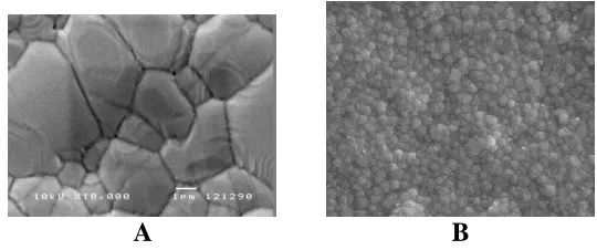 Figure 2.  SEM image of a) nickel pattern anodes and b)ceria pattern anodes 