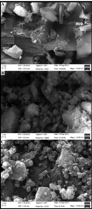 Figure 3. SEM of: (A) DIT; (B) HDIT and (C) CuHDIT. 