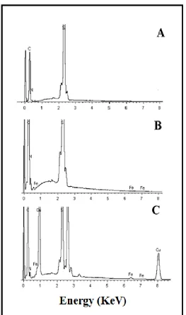 Figure 4.  EDS of: (A) DIT, (B) HDIT e (C) CuHDIT. 