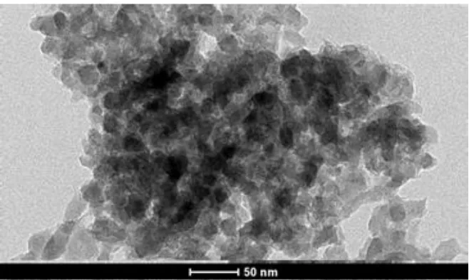 Figure 2. TEM image of the LFS/C powder 