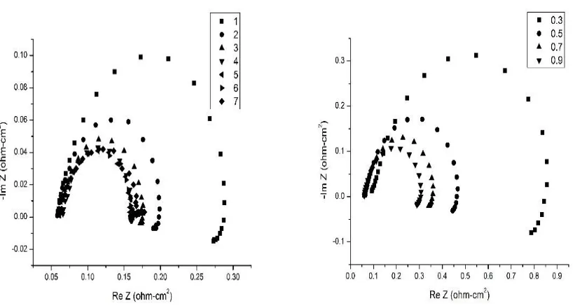 Figure 3.  Polarization plot for experimental and modelling results 