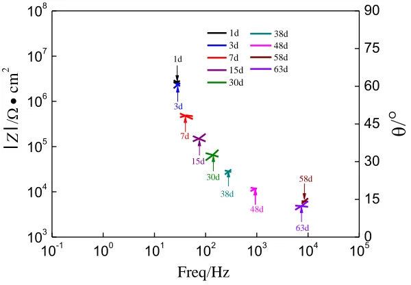 Figure 8. Bode plots of grey organic coating in 3.5% sodium chloride solution 