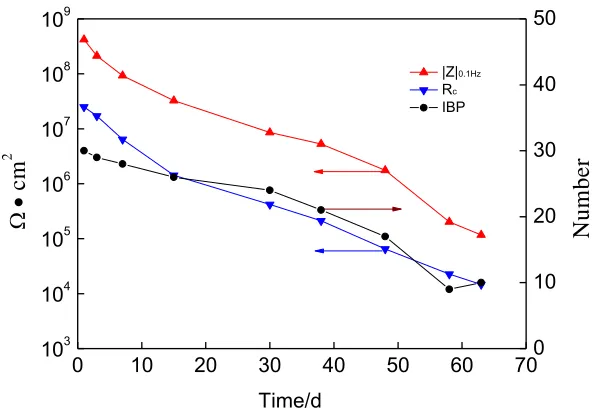 Figure 10.  IBP of grey organic coating compared with Rc and |Z|0.1Hz 