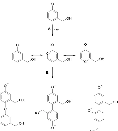 Figure 6.  Schematic for the electrochemical oxidation and dimerization of 3-hydroxybenzyl alcohol from neutral and acidic solutions