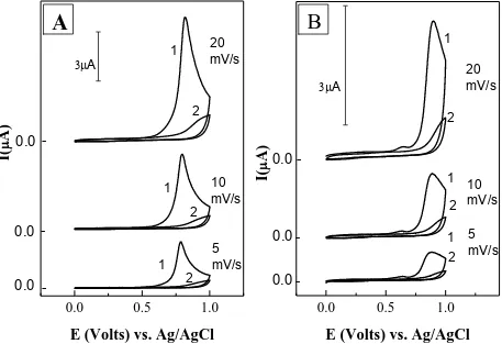 Figure 3. Cyclic voltammograms for the oxidation and polymerisation of solutions in 100 mM sulphuric acid of (A) 100 mM 1,3 dihydroxybenzene and (B) 100 mM 3-hydroxybenzyl alcohol 
