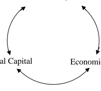 Figure 1.2 Social Capital Interchange 