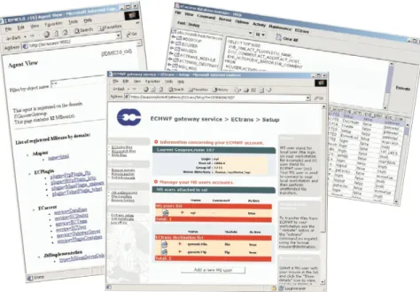 Figure 1 The ECaccess architecture.