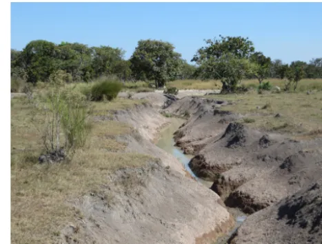 Figure 7. Changes in the geomorphic features of the Mamoré RiverMamoré River bank at point 227: a lateritic crust covered by oldﬂuvial sediments;at Puerto Siles