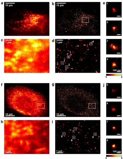 Figure 1. NS5A and NS3 fluorescent foci are resolved as clusters of localisations by 3D-dSTORM