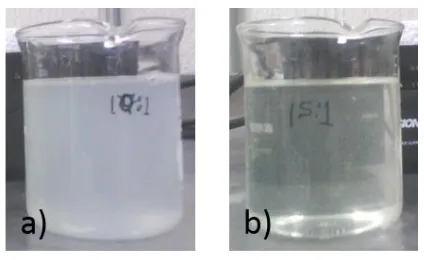 Figure 4. Image showing discoloration a) from wastewater electrocoagulation process and b) when the Fenton process is applied, H2O2/Fe2+ ratio, after 12 min of treatment