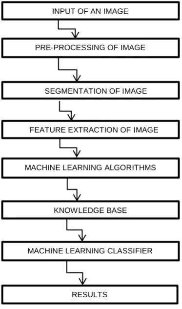 Figure 1.Block diagram of wheat disease detection process 