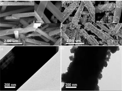 Figure 3.  SEM and FESEM (insert) micrographs of the prepared (a) Li2MnO3 and (b) Li-CoO2@Li2MnO3 nanoribbons, and TEM micrographs of the prepared (c) Li2MnO3 and (d) LiCoO2@Li2MnO3 nanoribbons