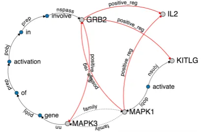 Figure 1: A snapshot depicting the knowledge graph of agene regulatory network, augmented with gene family anddependency path relations.