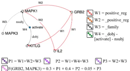Figure 2: An illustration of the weighted sum of path repre-P 1ure 1.The preﬁx “ ” of a relation type indicates an inversesentations for paths connecting GRB2 and MAPK3 from Fig-relation