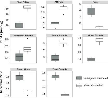Figure 2.5 Boxplots of the total amount of PLFAs in the peat, the different microbial groups, the Gram+ to Gram- ratio, and the fungi to bacteria ratio (n=5)