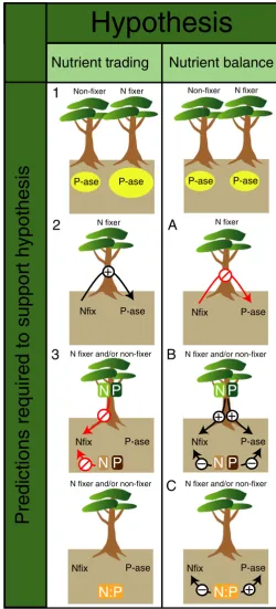 Figure 1 Conceptual diagram of the nutrient trading and nutrient balancehypothesesphosphatase activity (‘P-ase’) required tohypothesis