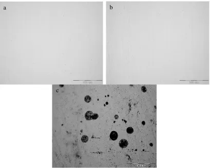 Figure 1.  Surface morphology of Q235 steel before and after immersion in simulated concrete pore solution (a) before immersion, (b) after immersion of 47.0 hours, (c) after immersion of 53.5 hours ×500  