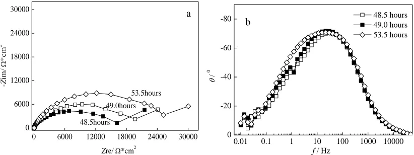 Figure 2.  EIS spectrum of Q235 steel in simulated concrete pore solution with the immersion time less than 47 hours, (a) Nyquist plot and (b) Bode plot  