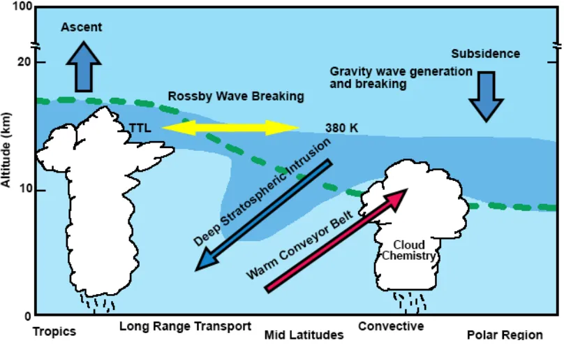 Figure 1.2: This ﬁgure shows the important processes such as coupling dynamics, chemistry,and cloud microphysics in the UTLS region