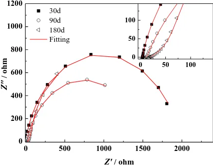 Figure 1. Polarization curves of rust steels 