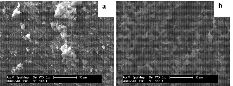 Figure 3 and Figure 4 show the morphology and XRD analysis of rust steels in seawater