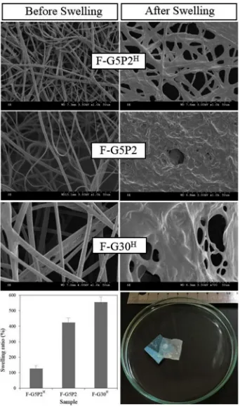 Fig. 9. SEM images (prior to and following contact with water) and water-induced swelling ratio of electrospun and UV-cured membranes made of either G-4VBC orG-4VBC–PCL-DMA