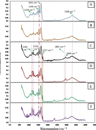 Fig. 7. ATR-FTIR spectra of samples F-G20 (A), F-G30 (B), F-G5P1 (C), F-G5P2 (D), F-G5P2L (E), F-G5P2H.
