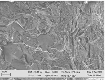 Figure 5.  SEM micrograph of S41425 steel fractured in the H2S-containing 3.5% NaCl solution at 60 0C 