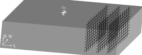 Figure 3. Multi-polarization scenarios in a corridor.