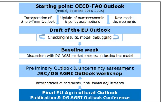 Figure 1: Construction of the EU outlook process   Source: Slides of Giampiero Genovese and Thomas Fellmann (JRC) 
