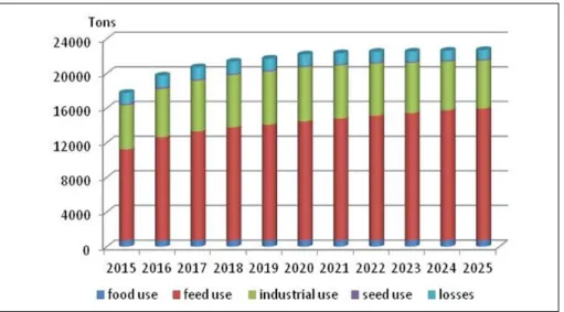 Figure 10: Projected maize consumption in China (Chinese outlook, 2016-2025)  Source: Slides of Li Ganqiong (CAAS) 