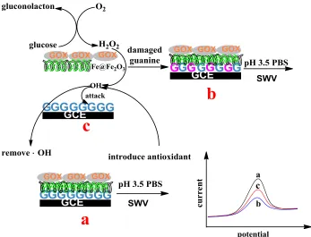 Figure 1.  The influence of pH of the incubation solution on the Δip. Δip was the difference of the SWV peak currents of GOX/PDDA-Fe@Fe2O3/G/GCE before and after it was incubated in the PBS of different pH values containing 50 mmol L-1glucose