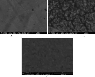 Figure 2.  Electrochemical assembling processes of PNs on the surface of GE, GPE and GCE; initial E: -0.30 V; final E: -0.30 V; sample interval: 0.1s; quiet time: 0s; run time: 30s